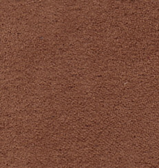 Nutmeg